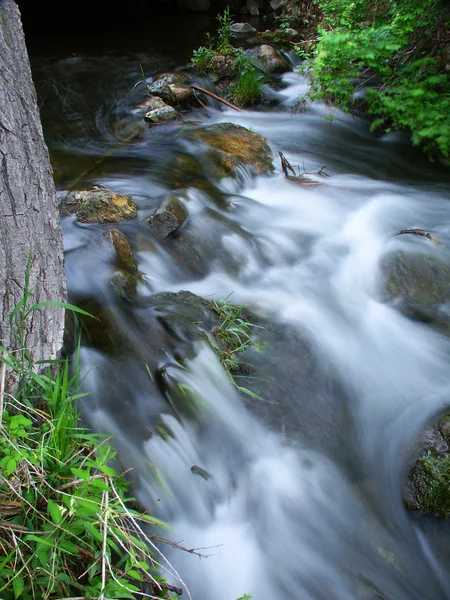 Área Natural Estatal de Bluff Creek - Wisconsin — Foto de Stock