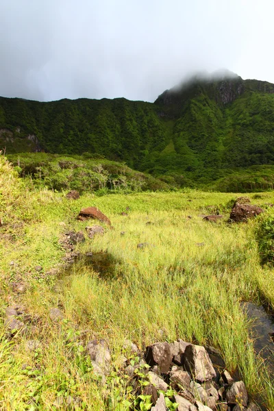 Mount Liamuiga - Saint Kitts — Stock Photo, Image