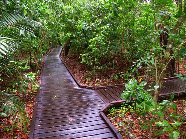 Yeşil ada milli park - Avustralya — Stok fotoğraf