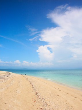 The Low Isles - Queensland, Australia