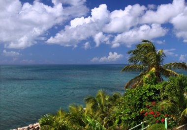 The Caribbean island of Saint Kitts clipart