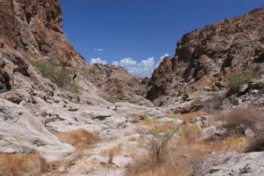 Harsh terrain in Nevada clipart