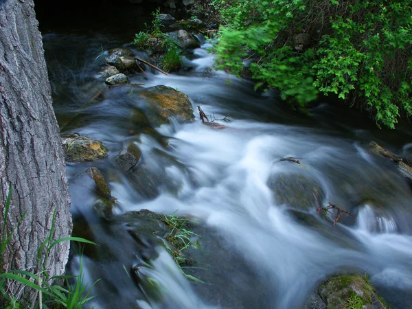 Bluff creek estado natural área - wisconsin — Fotografia de Stock
