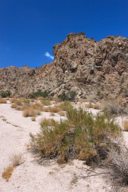Grapevine Canyon - Nevada clipart