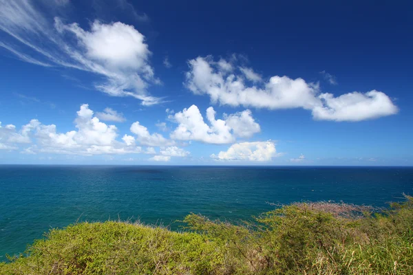 Hermosa costa de Saint Kitts — Foto de Stock