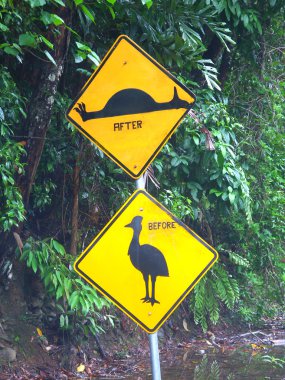 Cassowary işareti - queensland, Avustralya