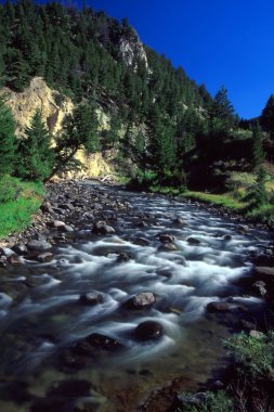 Gardner River - Yellowstone National Park clipart