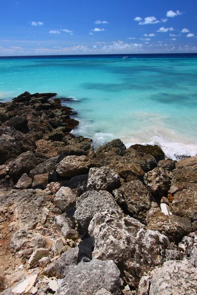 Barbados sziklás part — Stock Fotó