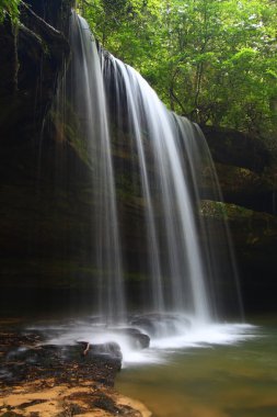 Upper Caney Creek Falls in Alabama clipart