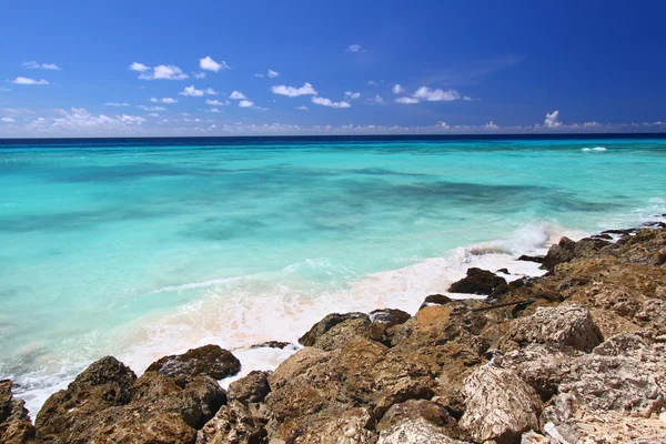 Costa rocosa de Barbados —  Fotos de Stock
