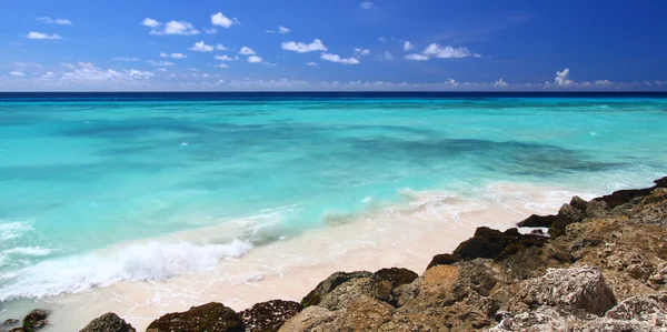 Rocky coastline of Barbados — Stock Photo, Image