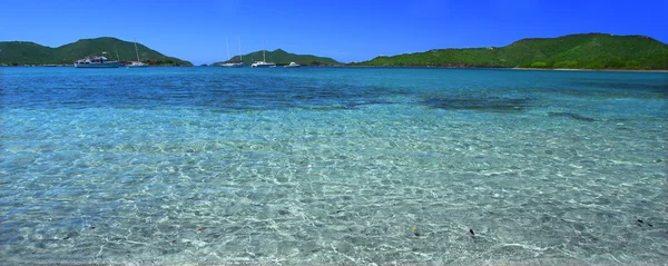Hermosa Tortola (BVI ) — Foto de Stock