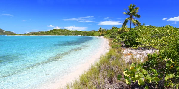 stock image Beef Island - British Virgin Islands