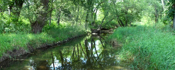 Mooie creek scène in illinois — Stockfoto