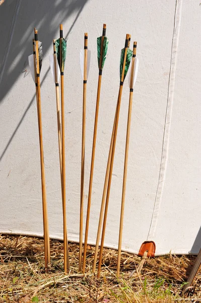 stock image Medieval Camp