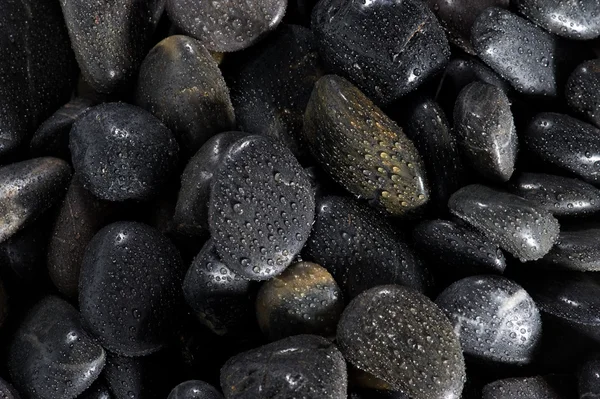 stock image Texture, wet black stones