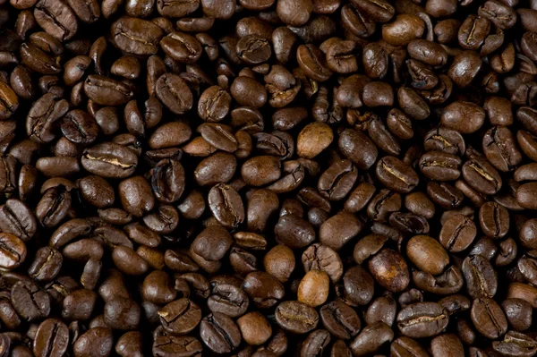 stock image Texture, coffee beans