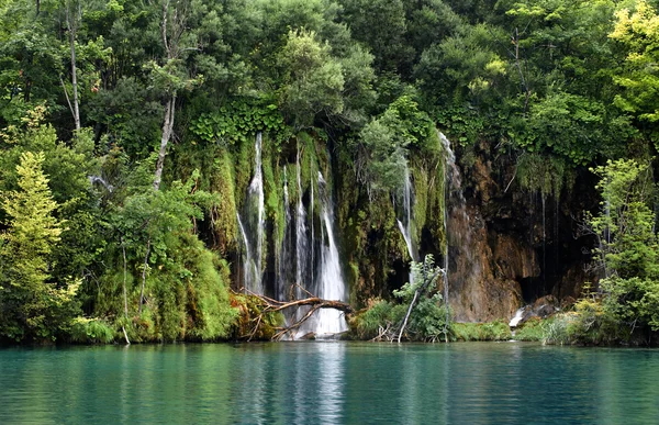 Озера Плітвіце національний парк, Хорватія . Стокове Зображення