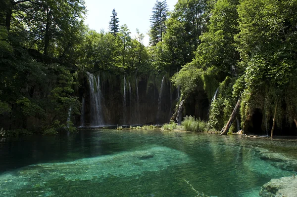 Plitvice lagos parque nacional, croácia. Fotos De Bancos De Imagens