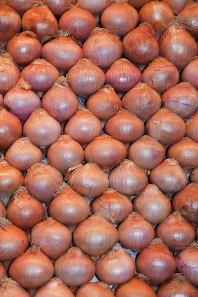 Cebollas —  Fotos de Stock