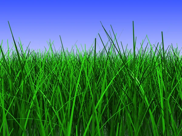 Трава луг — стокове фото