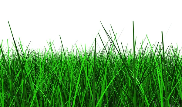 Gras achtergrond — Stockfoto