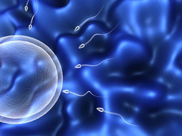 Mänskliga spermaceller — Stockfoto