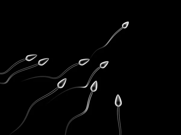 Sperm competition — Stock Photo, Image