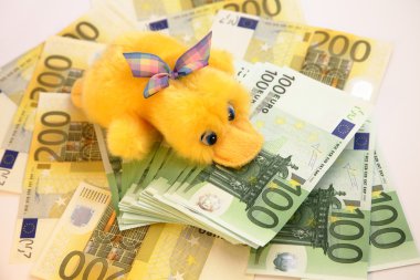 Scrooge ve euro banknot