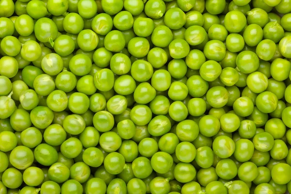 緑のエンドウ豆 ストック写真
