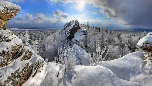 ウラル山脈で冬の森 ストック写真