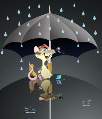 fare ve şemsiye
