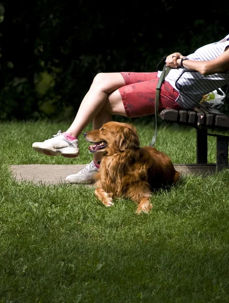 Stock image Companionship