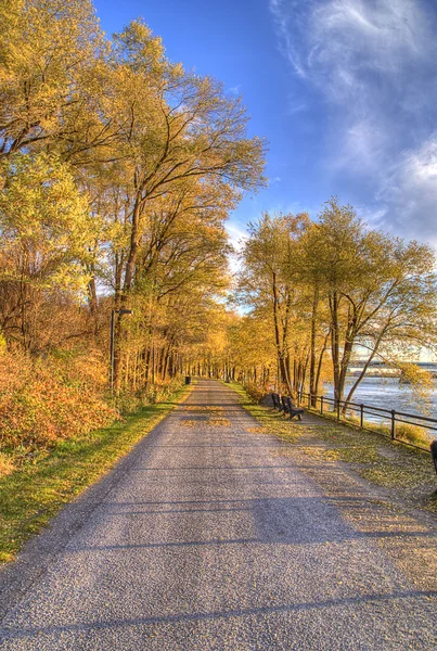 stock image Walk way