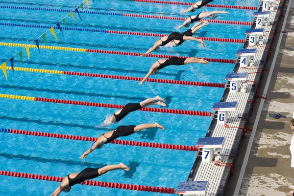 游泳选手 免版税图库图片