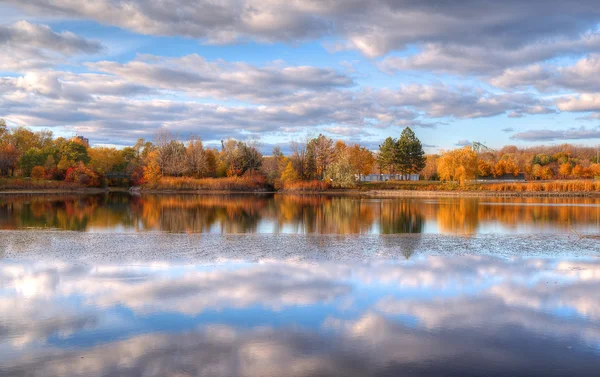 stock image Nature