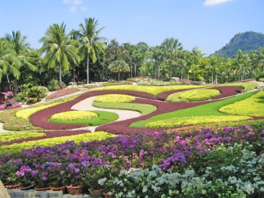 Tayland, pattaya. nong nuch, Botanik Bahçesi.