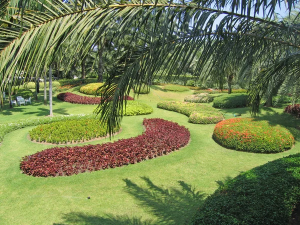 Thajsko, pattaya. Botanická zahrada nong nuch. — Stock fotografie