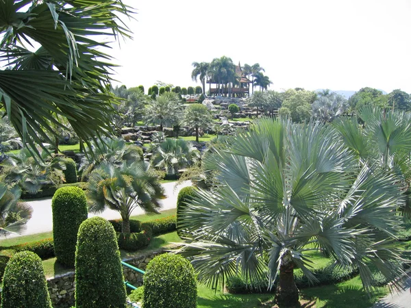 Thajsko, pattaya. Botanická zahrada nong nuch. — Stock fotografie