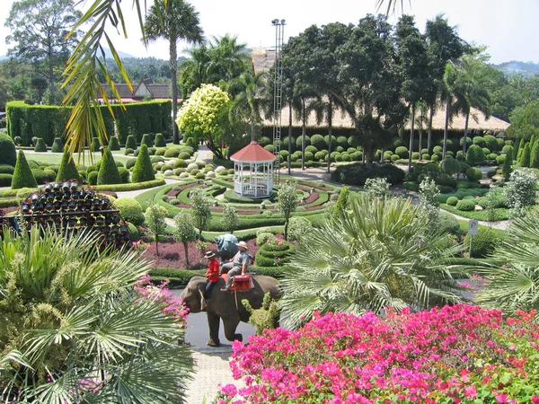 Tailandia, Pattaya. Un jardín botánico de Nong Nuch. Conducir en un elefante . —  Fotos de Stock