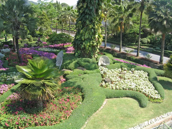 Thailand, pattaya. en botanisk trädgård i nong nuch. — Stockfoto