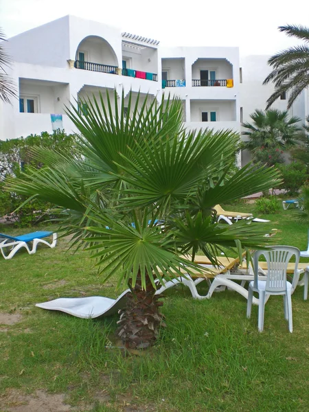 Территория отеля в Тунисе . — стоковое фото