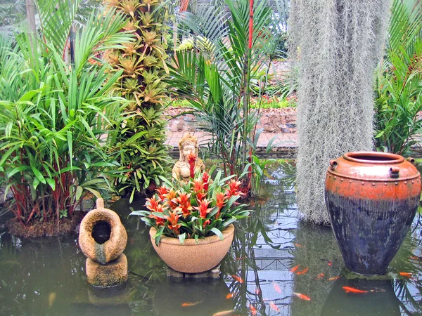 蘭の花 パタヤ タイの庭で水のエキゾチックな植物 — ストック写真