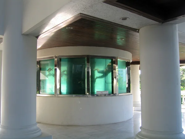 De tank met kleine vissen en de duiker in een interieur van hotel — Stockfoto