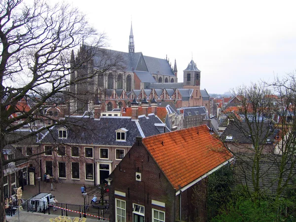 Los Países Bajos Tipo Una Fortaleza Ciudad Leiden —  Fotos de Stock