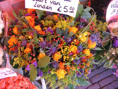 haarlem Hollanda. çiçek pazarında.