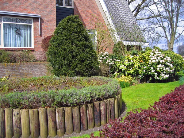 Países Bajos, plantas ornamentales en la casa en la ciudad de Haarlem . —  Fotos de Stock