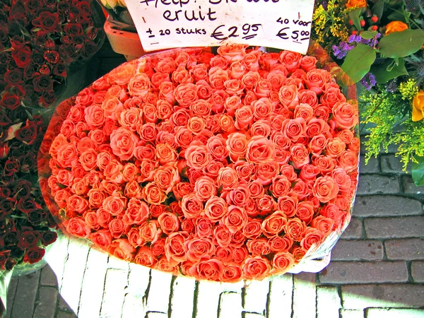 Нидерланды, Харлем. Цветы на рынке . — стоковое фото