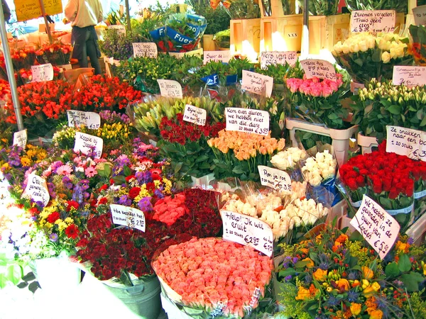 Nizozemsko, haarlem. květiny na trhu. — Stock fotografie