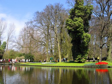 haarlem Hollanda. Gölde bir Botanik Bahçesi